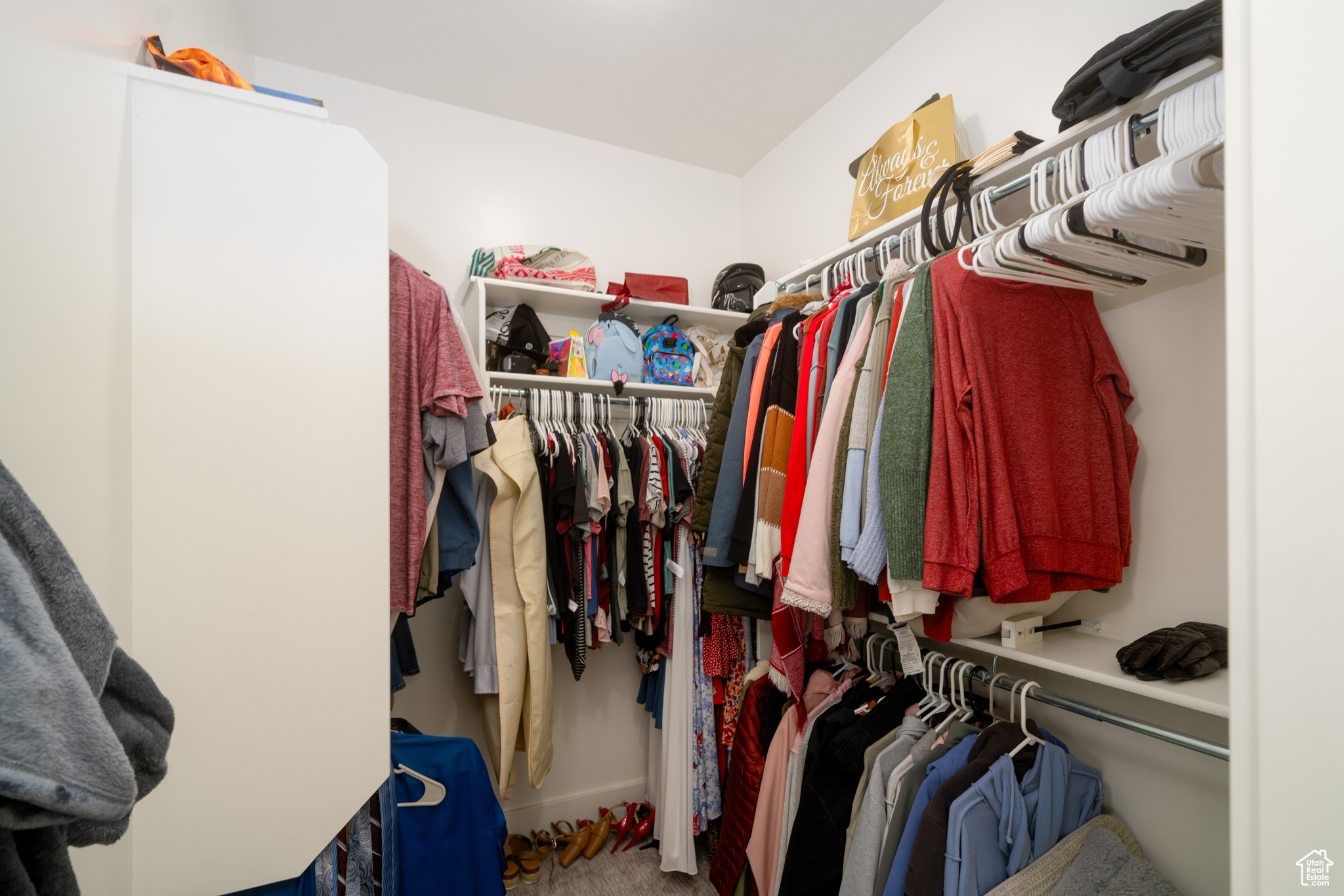 Walk in closet with carpet flooring