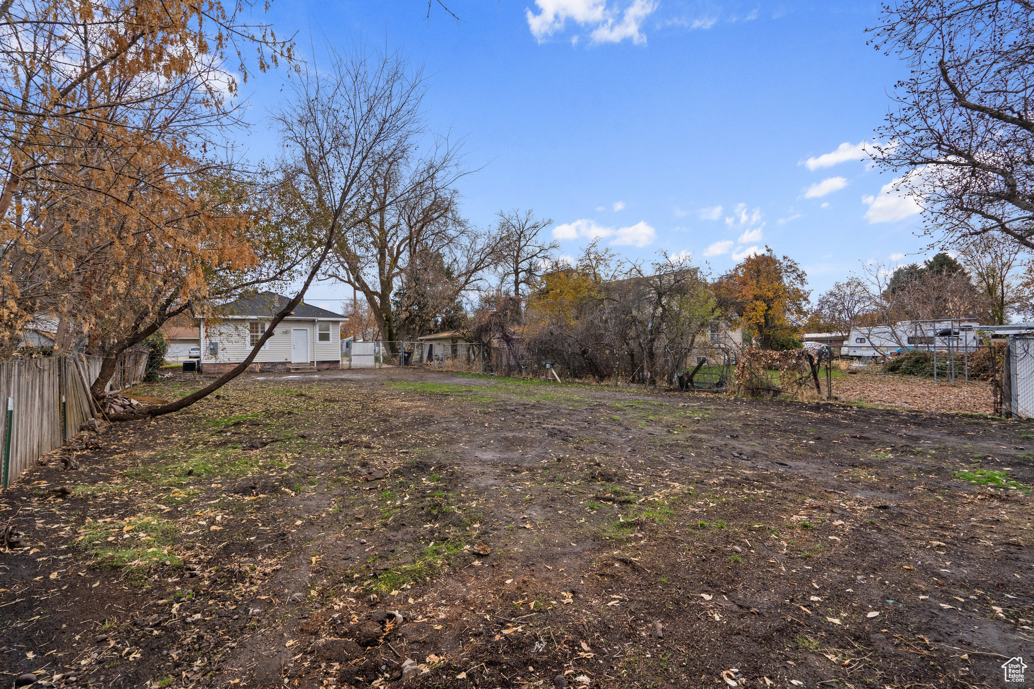 View of the backyard