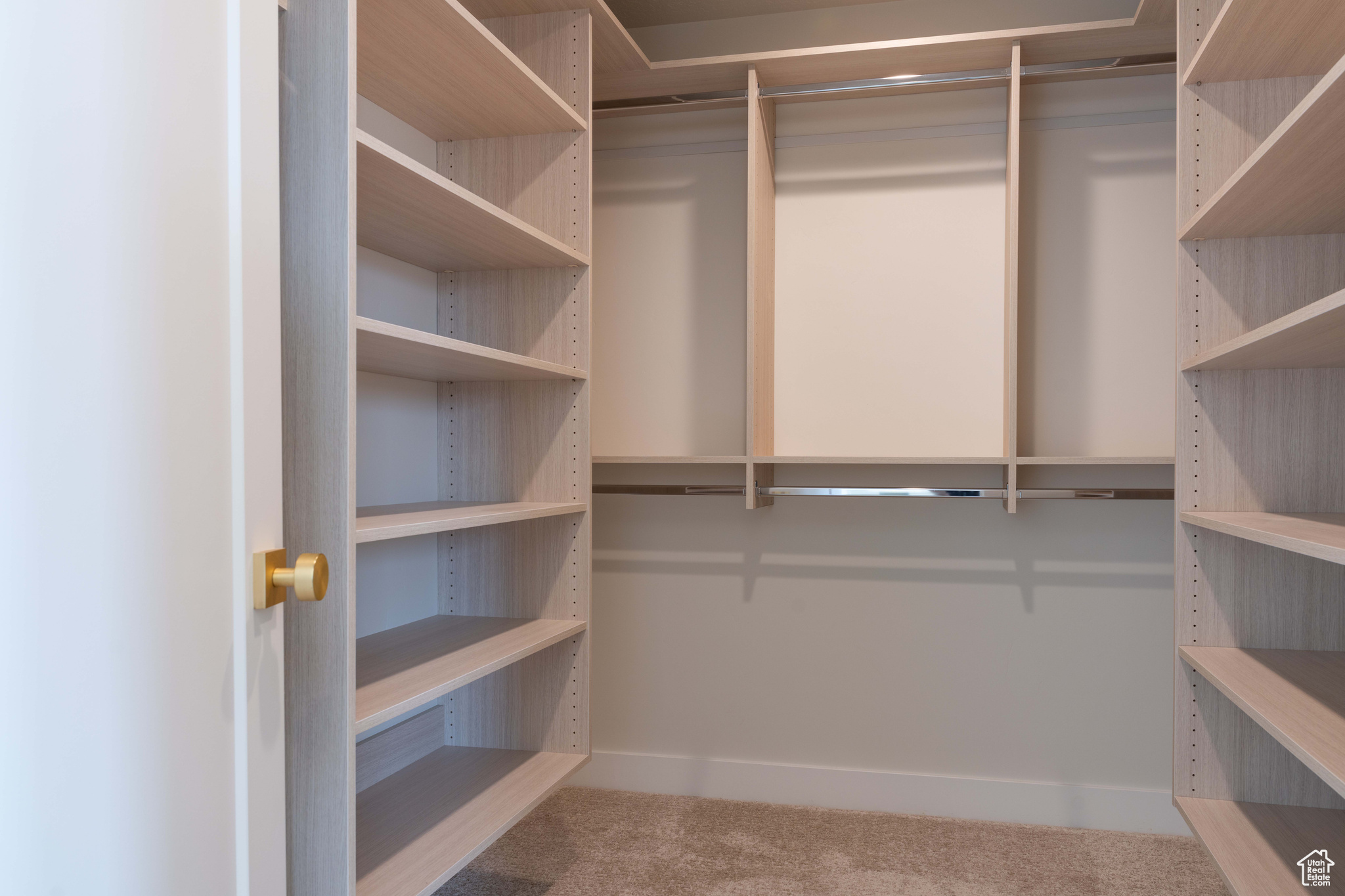 Walk in closet with carpet flooring