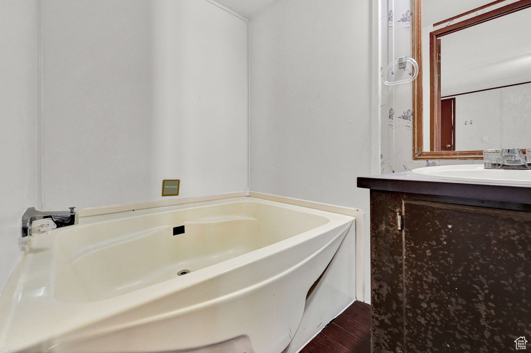 Bathroom featuring a washtub, vanity, and hardwood / wood-style flooring