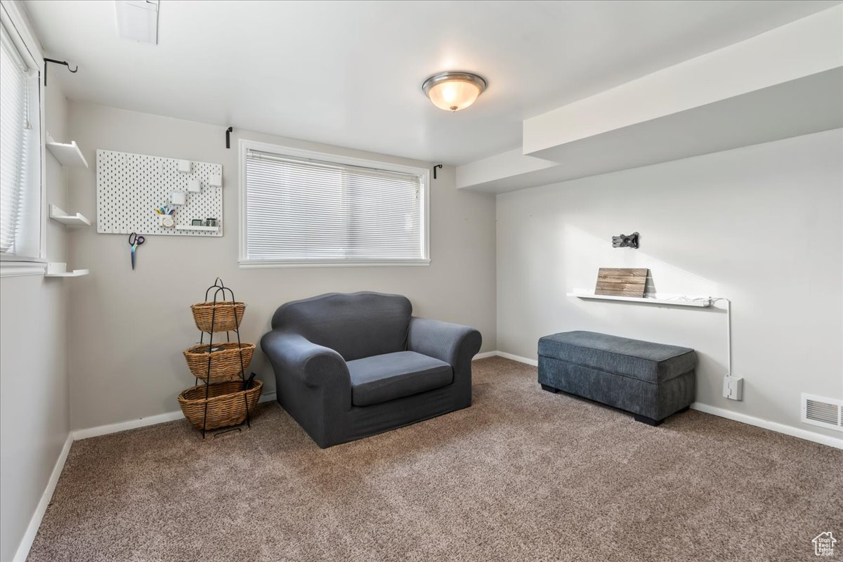 Sitting room with carpet floors