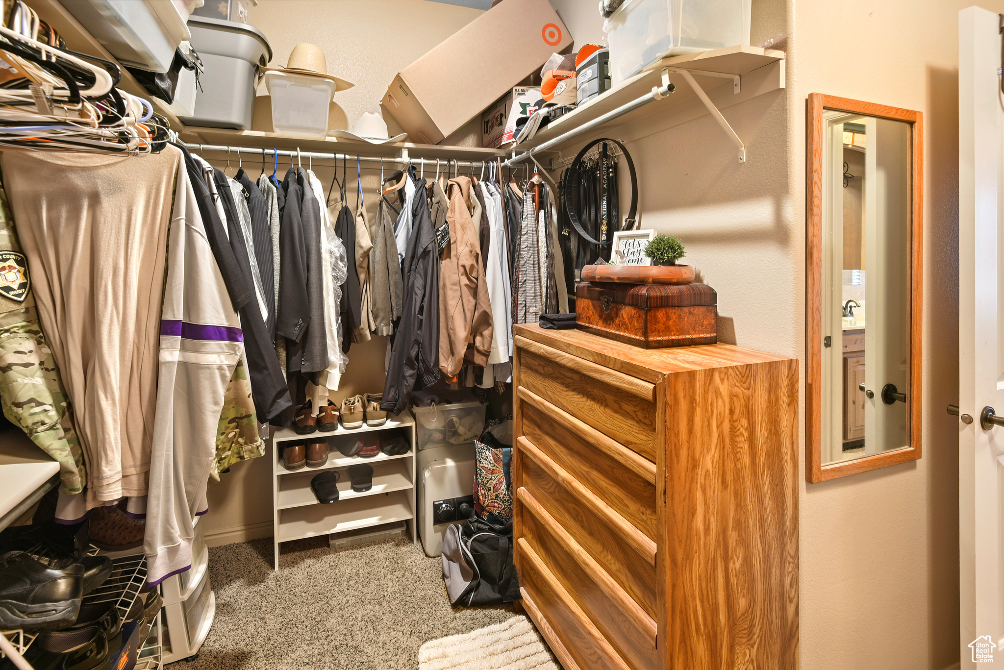 Walk in closet featuring carpet