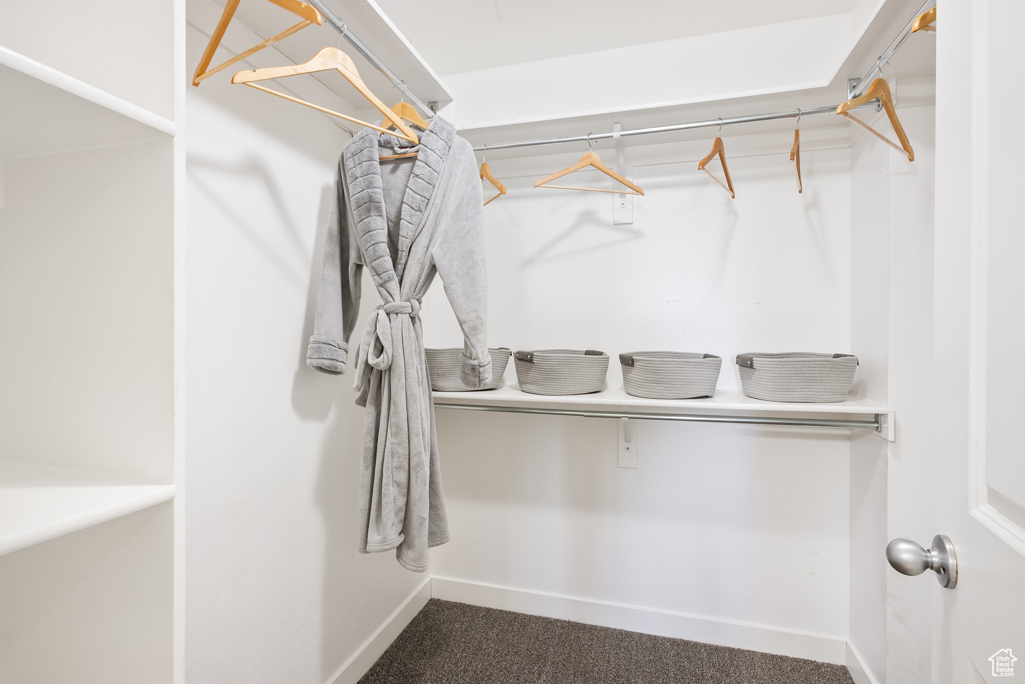 Spacious closet featuring carpet flooring