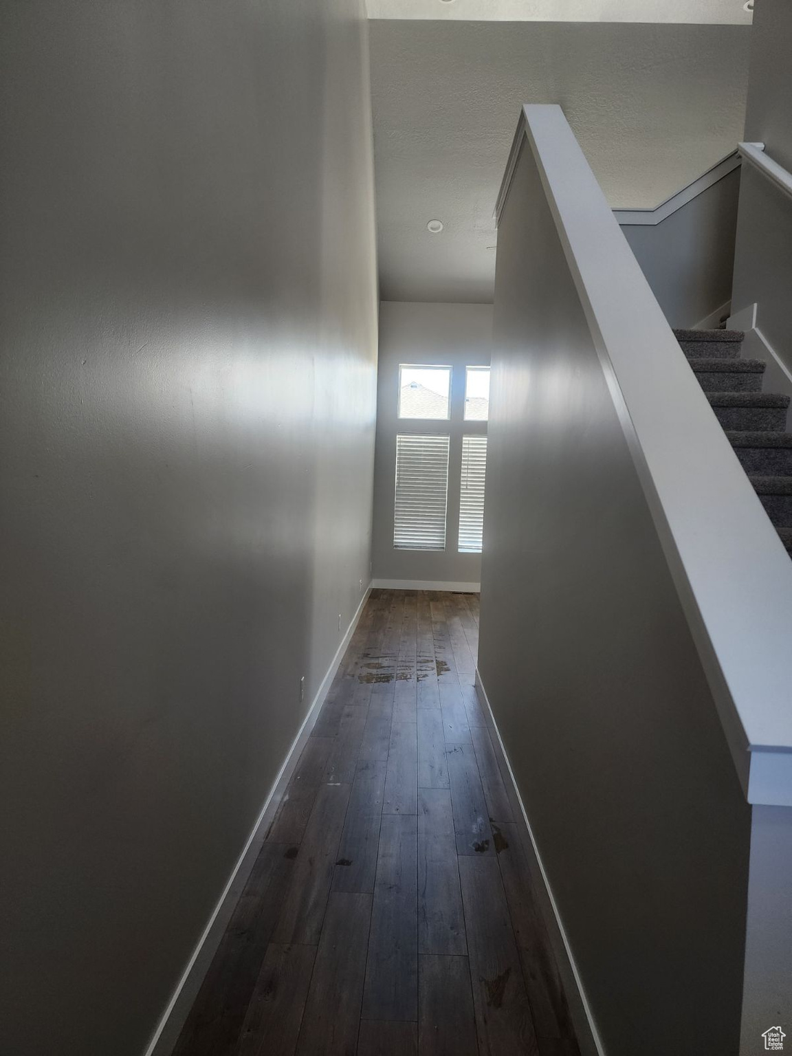 Hallway featuring dark hardwood / wood-style flooring