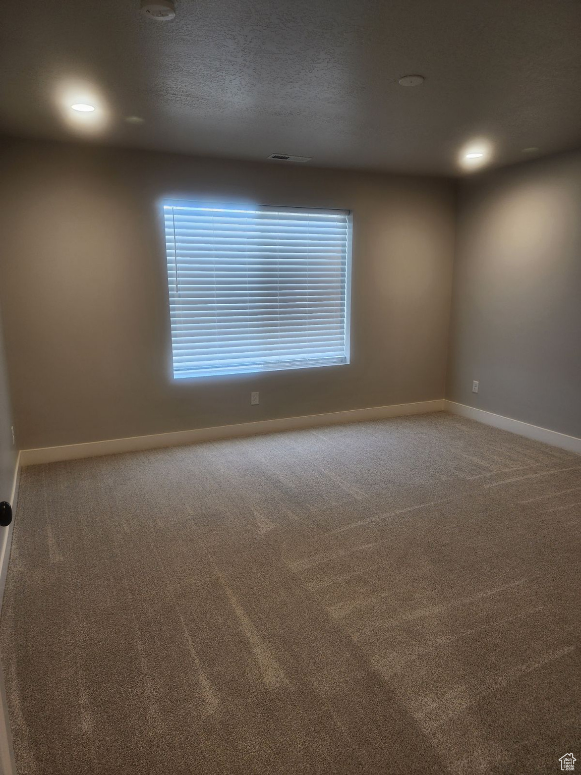 Spare room featuring carpet and plenty of natural light