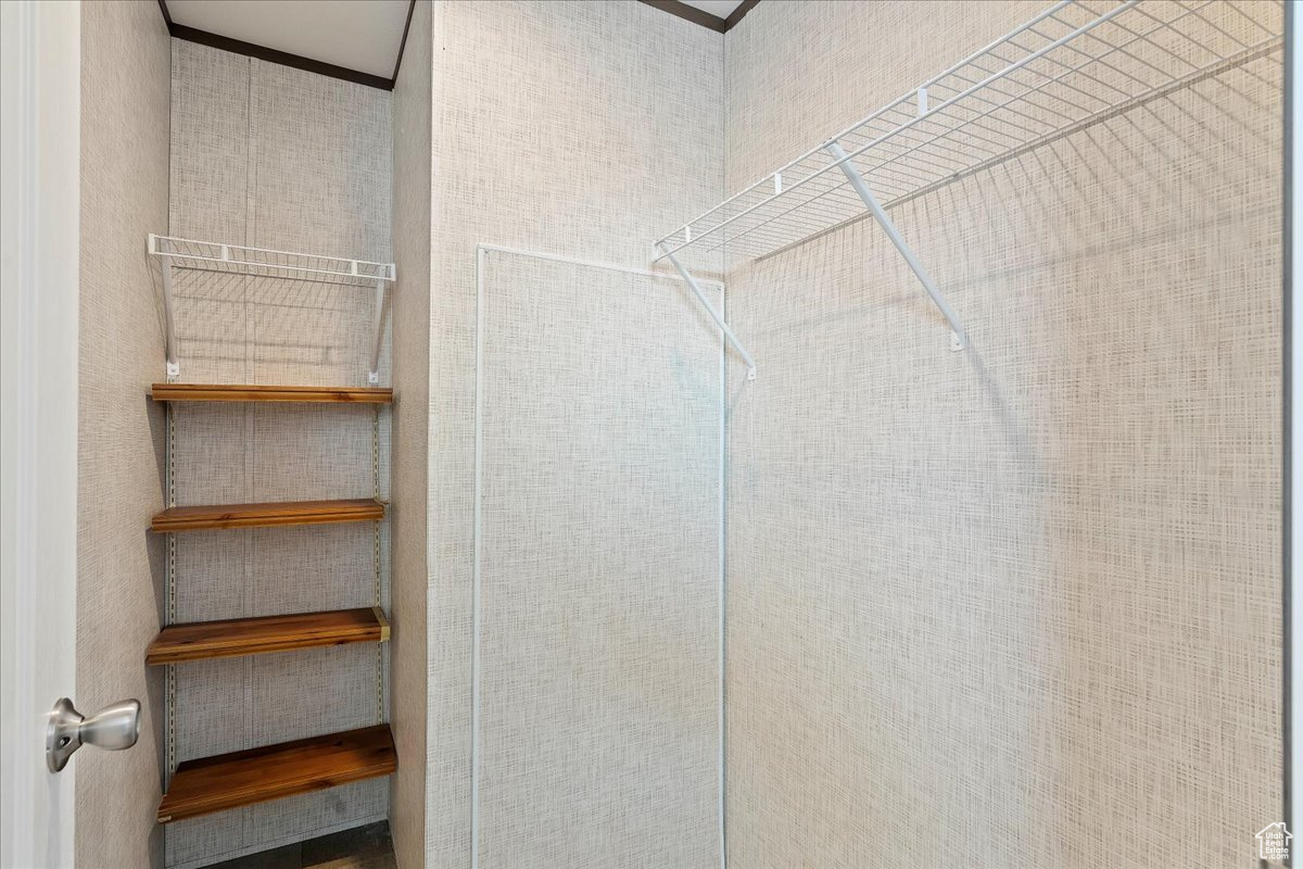 View of spacious closet