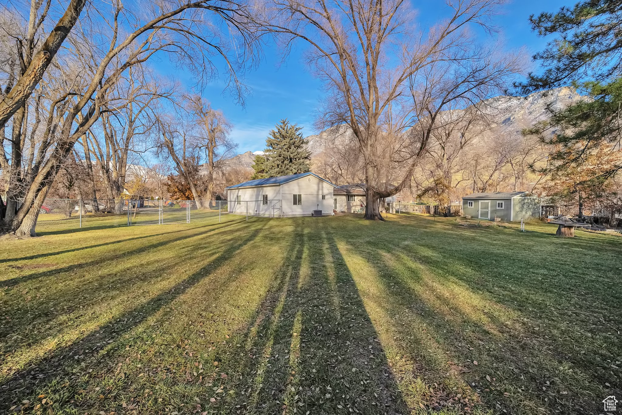 Huge yard