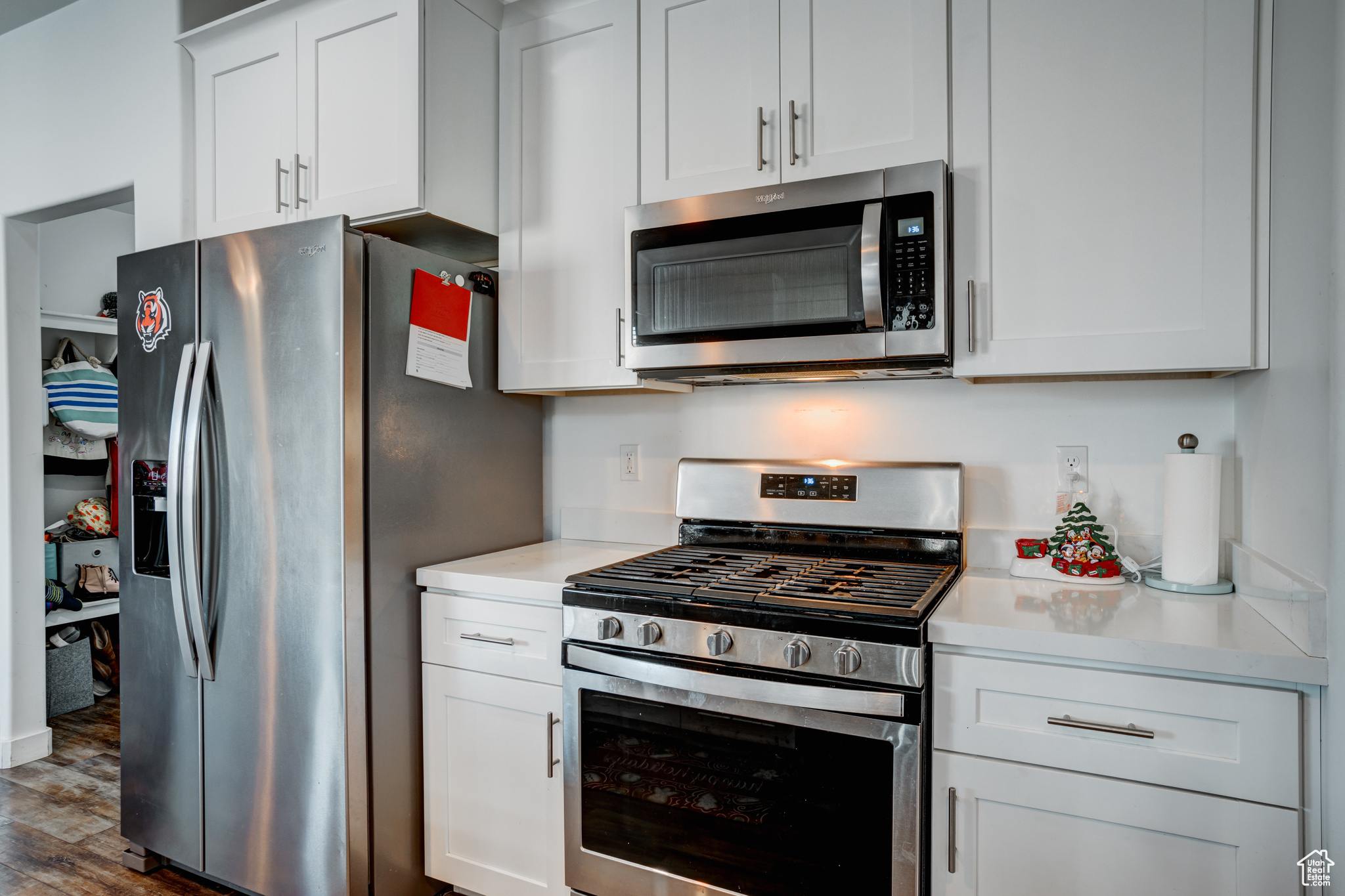 Kitchen featuring white cabinets, stainless steel appliances, and dark wood-type flooring