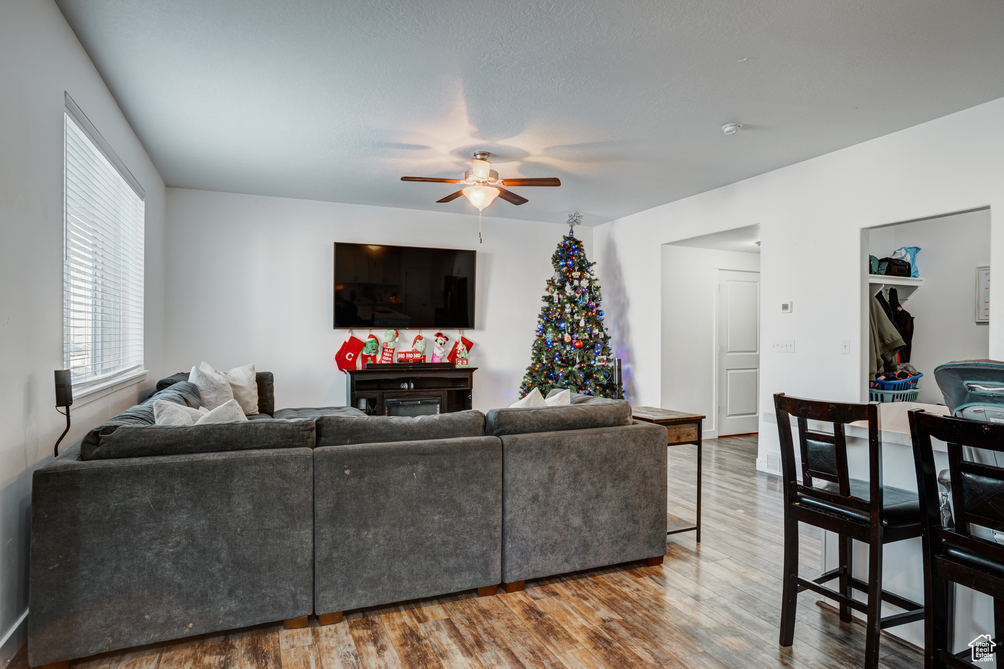 Living room featuring hardwood / wood-style flooring and ceiling fan