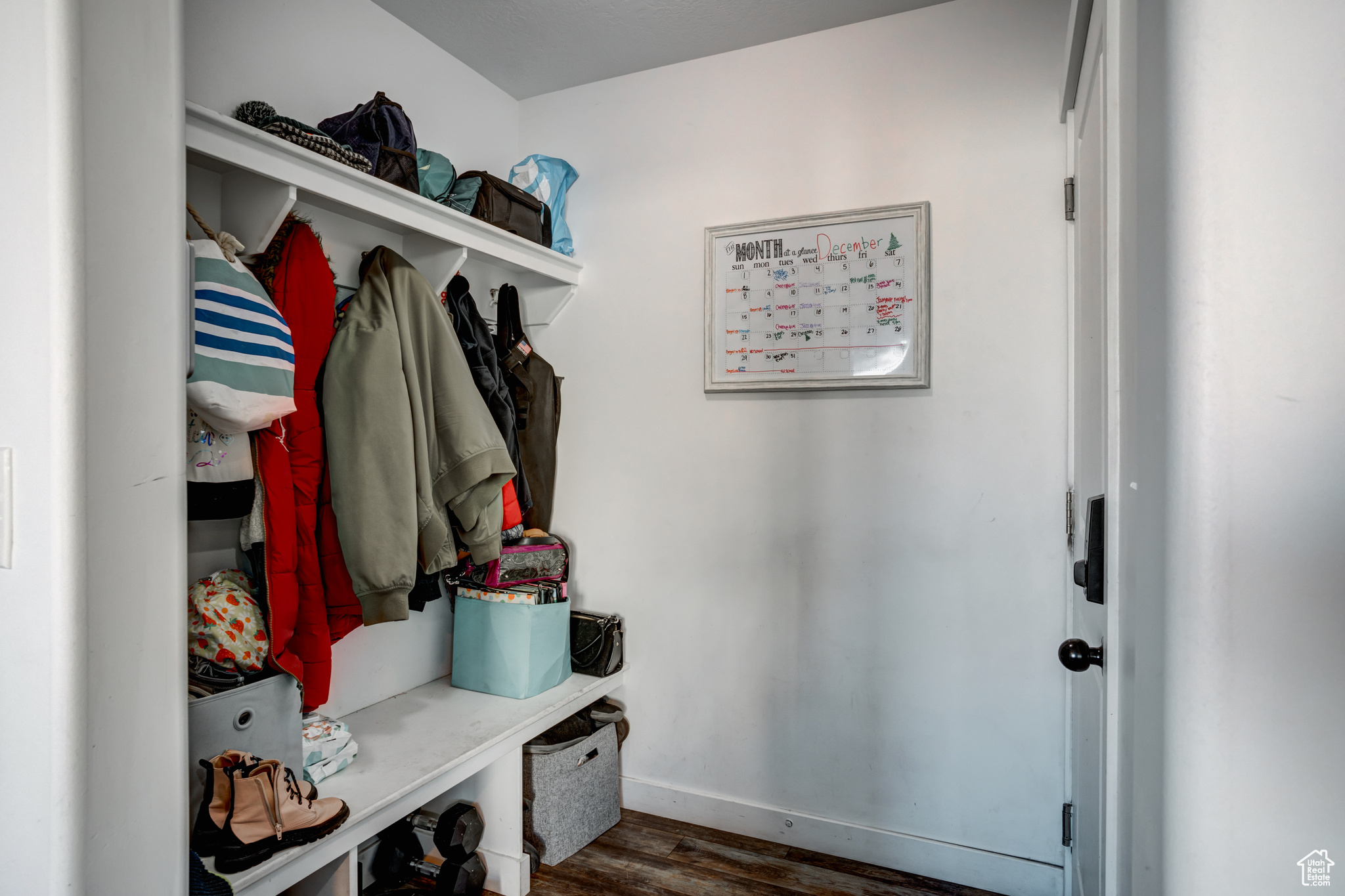 Mudroom with dark wood-type flooring