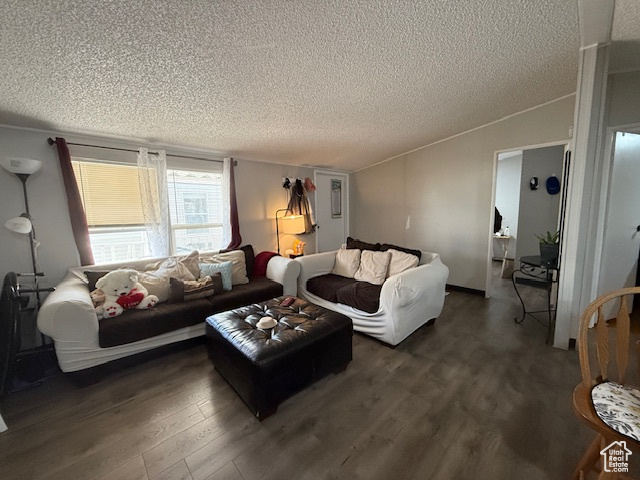 Living room with dark hardwood / wood-style floors and a textured ceiling