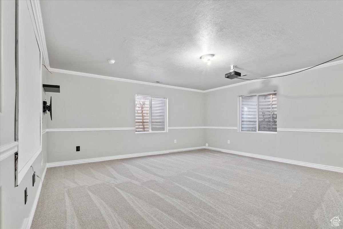 Basement family/theater room