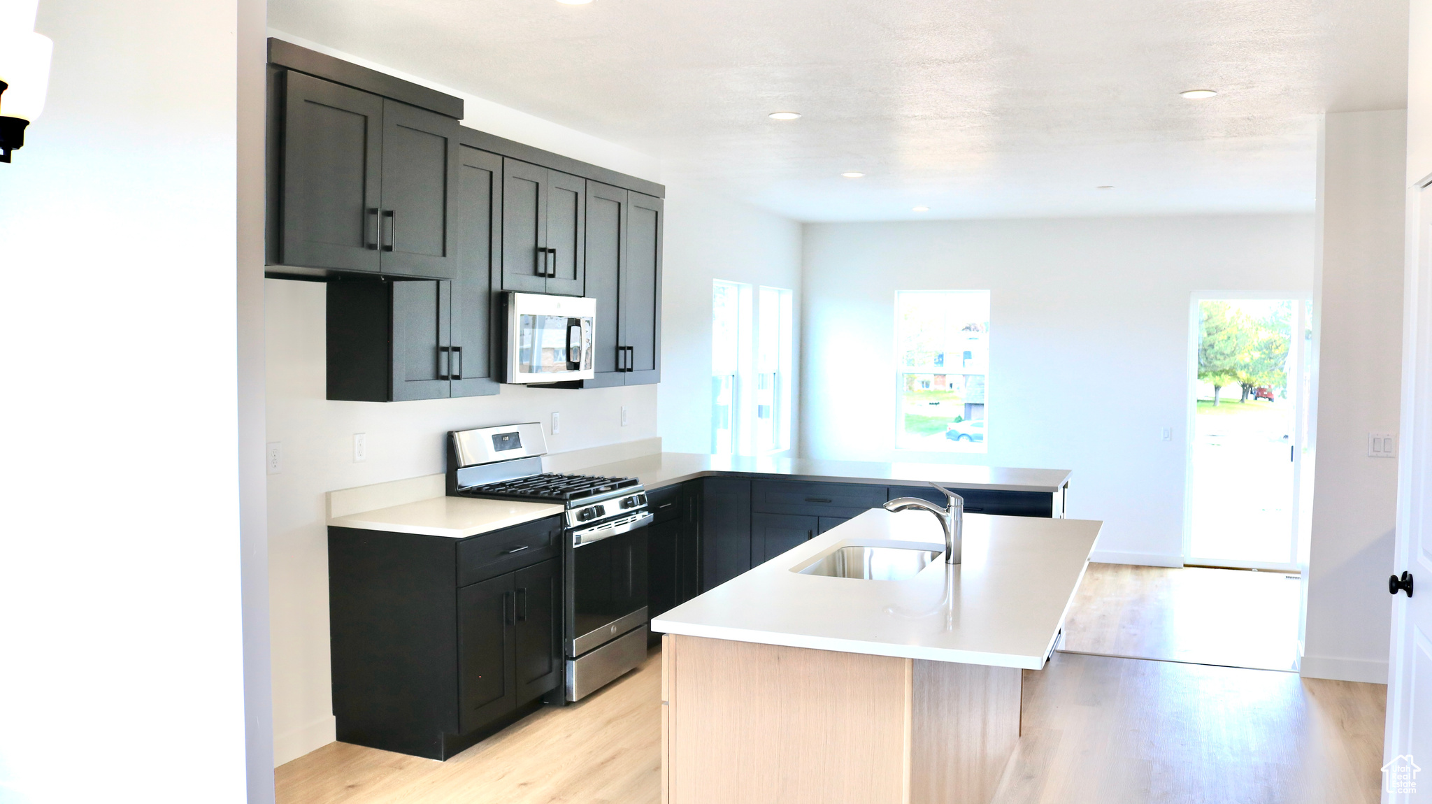 Kitchen featuring sink, light hardwood / wood-style flooring, plenty of natural light, and appliances with stainless steel finishes