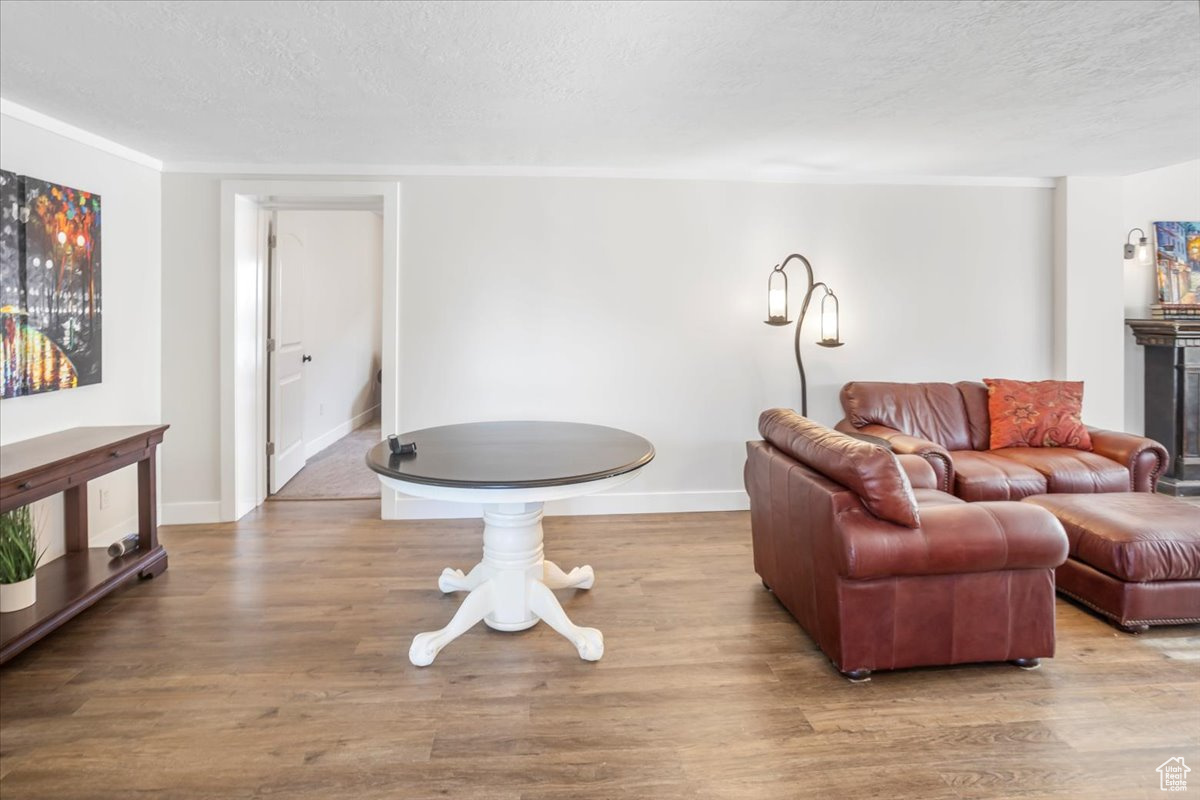 Living room featuring a textured ceiling and light hardwood / wood-style flooring