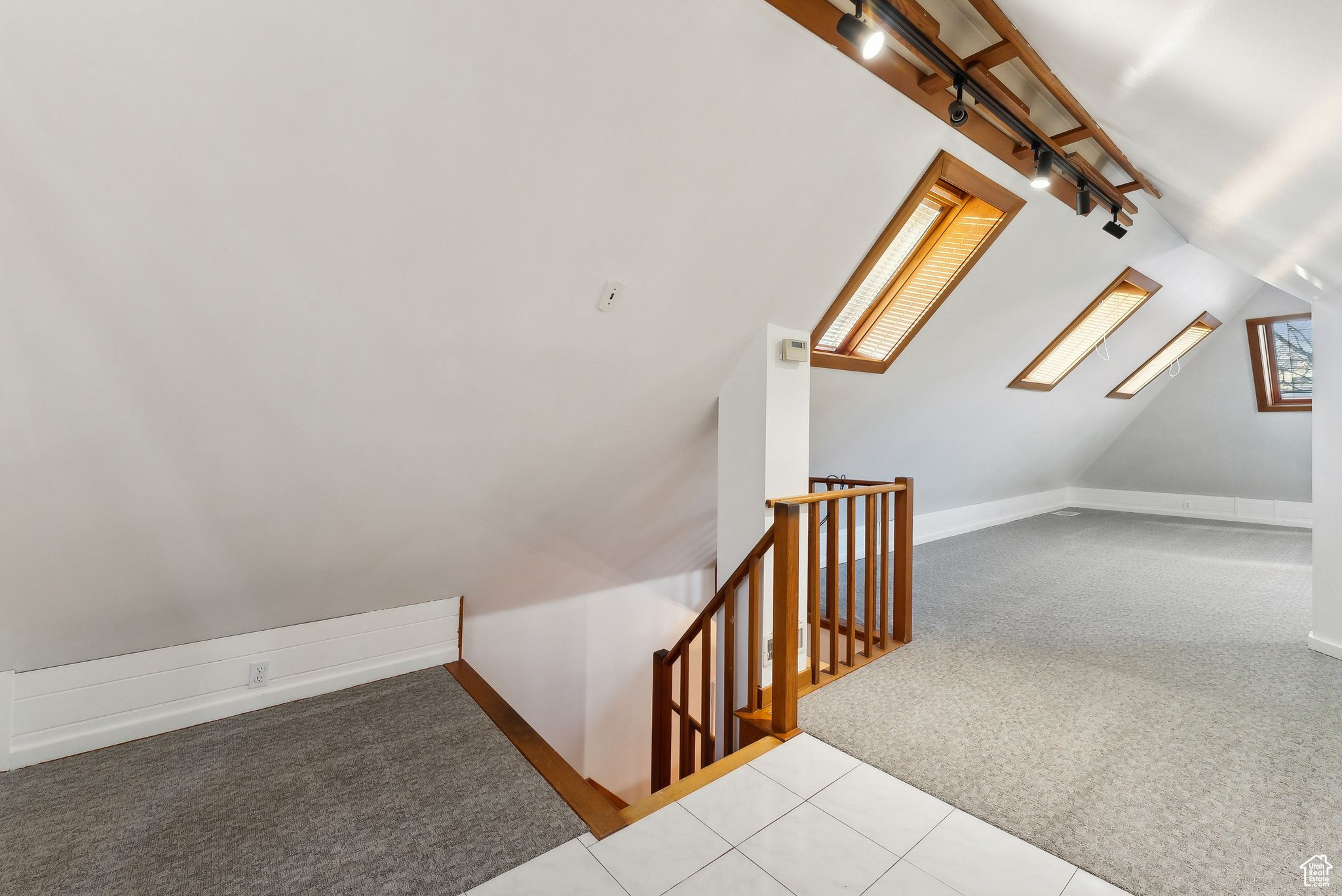 Stairs featuring carpet floors, track lighting, and vaulted ceiling with skylight