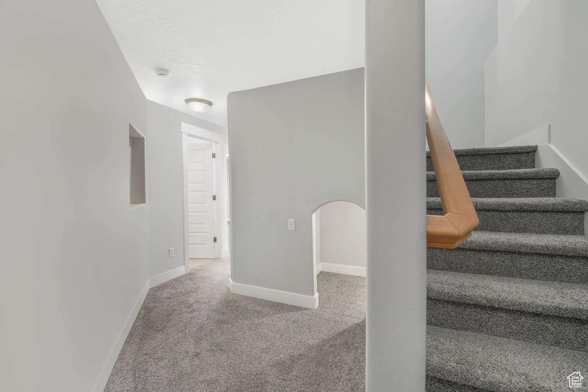 Staircase with carpet flooring