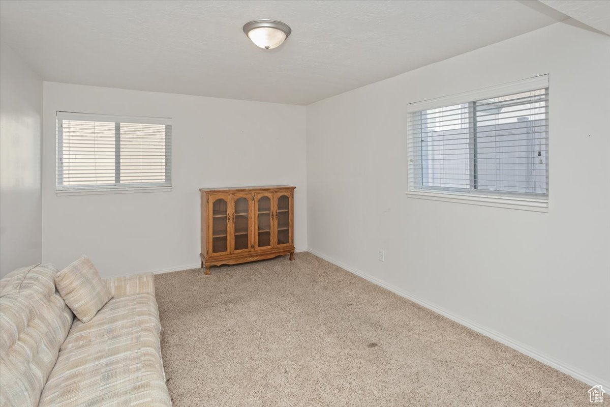 Basement bedroom