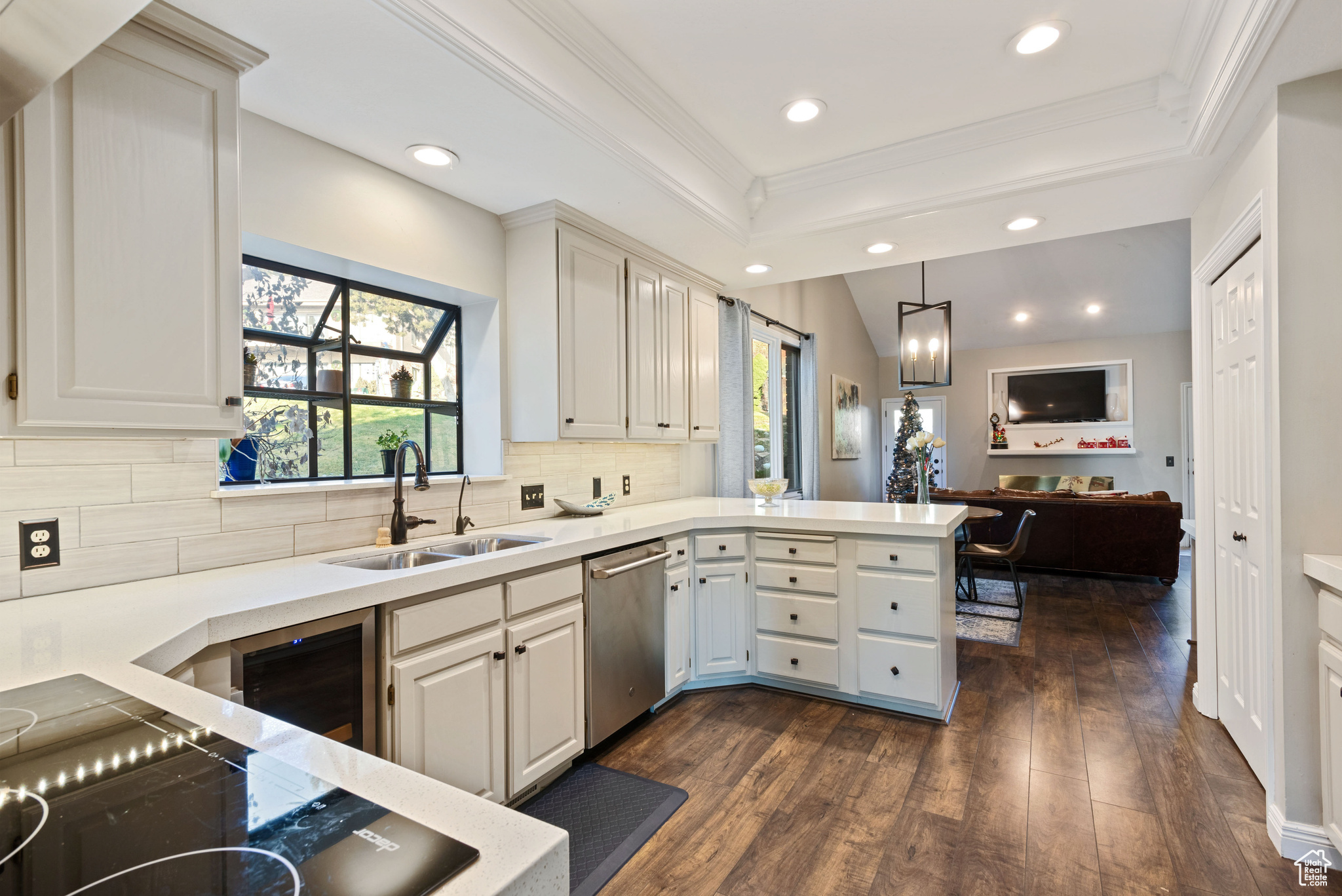 Kitchen featuring dishwasher, plenty of natural light, dark hardwood / wood-style floors, and sink