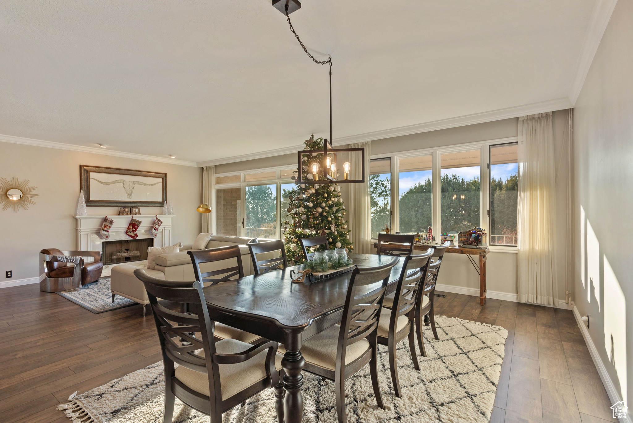 Dining room with crown molding, a wealth of natural light, and dark wood-type flooring