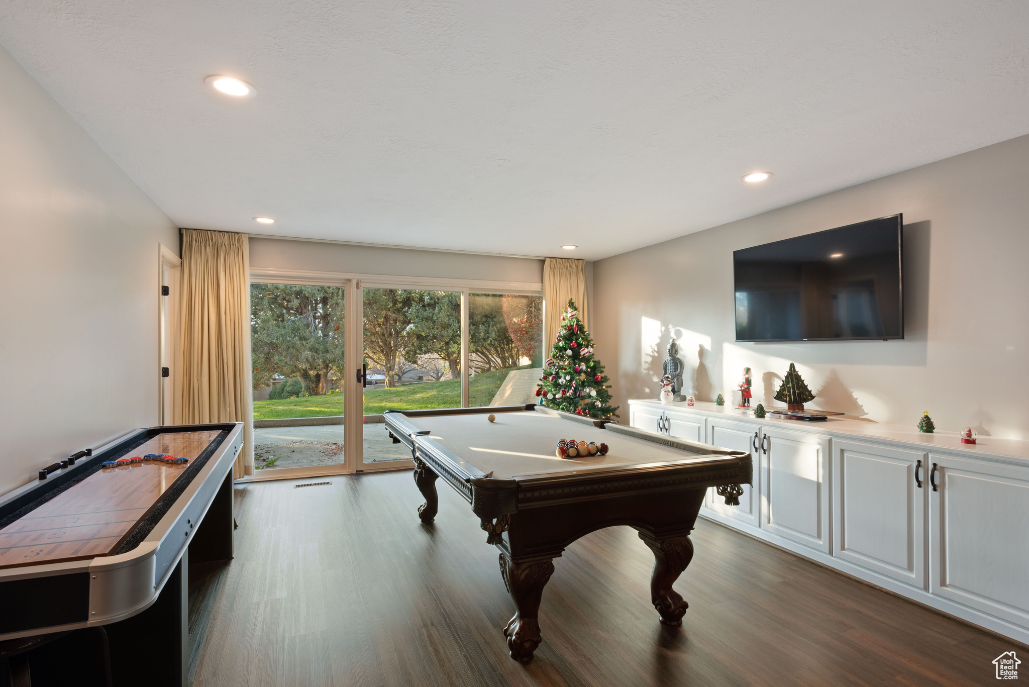 Recreation room featuring dark hardwood / wood-style floors and billiards