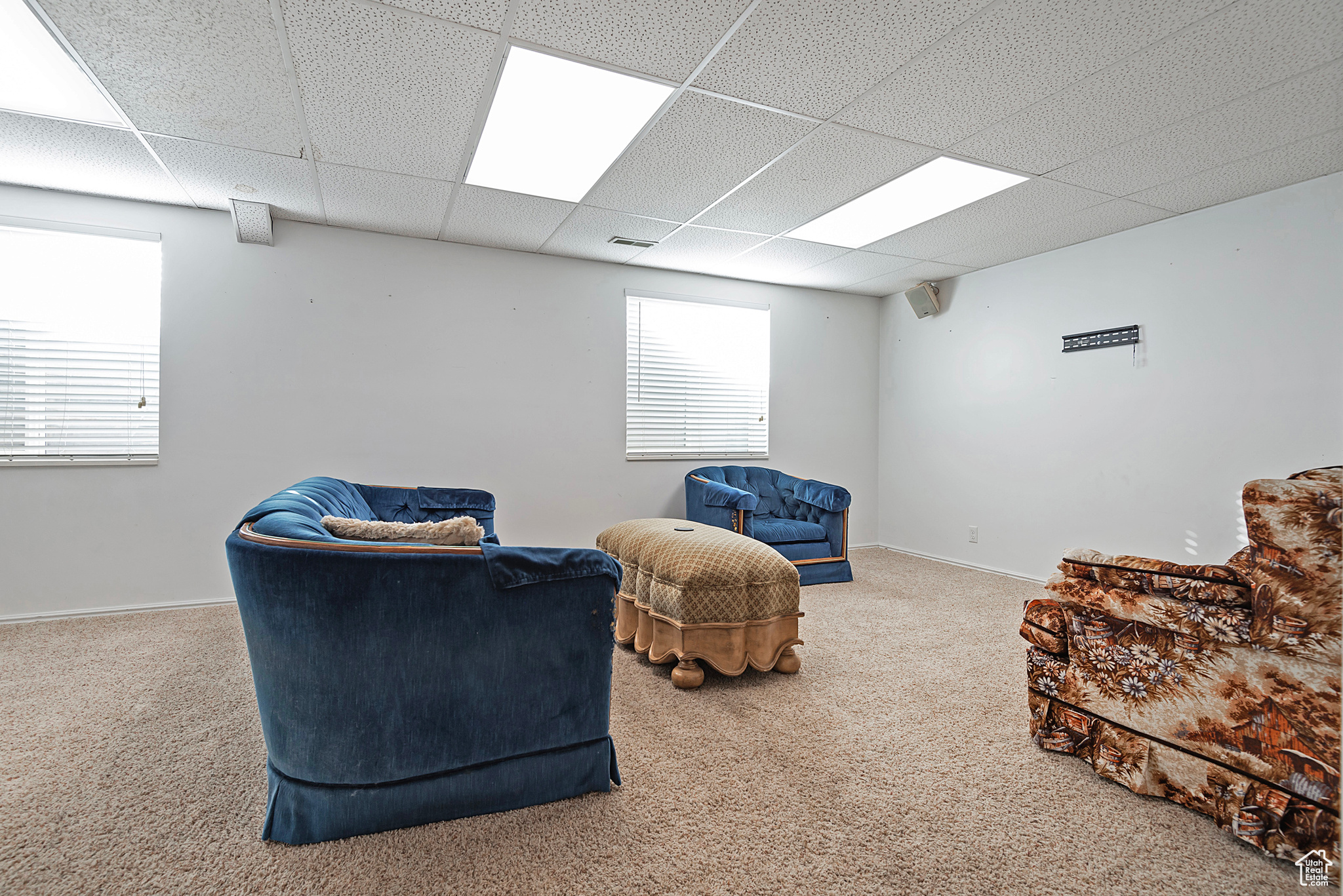 Living area featuring a wealth of natural light, a drop ceiling, and carpet floors