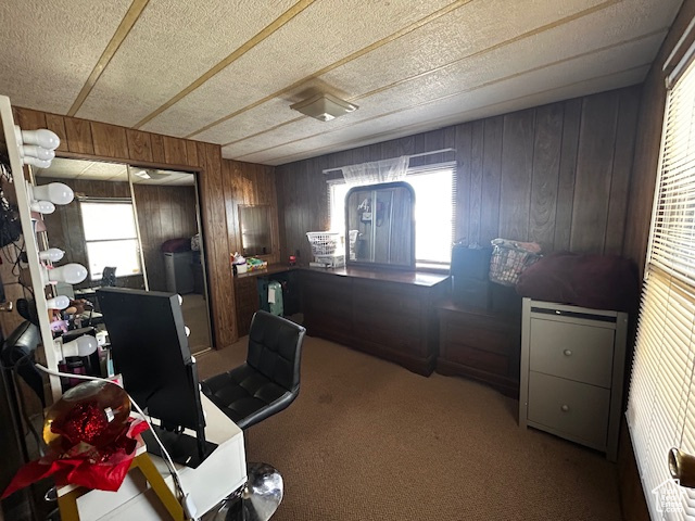 Office featuring carpet flooring, a textured ceiling, and wood walls