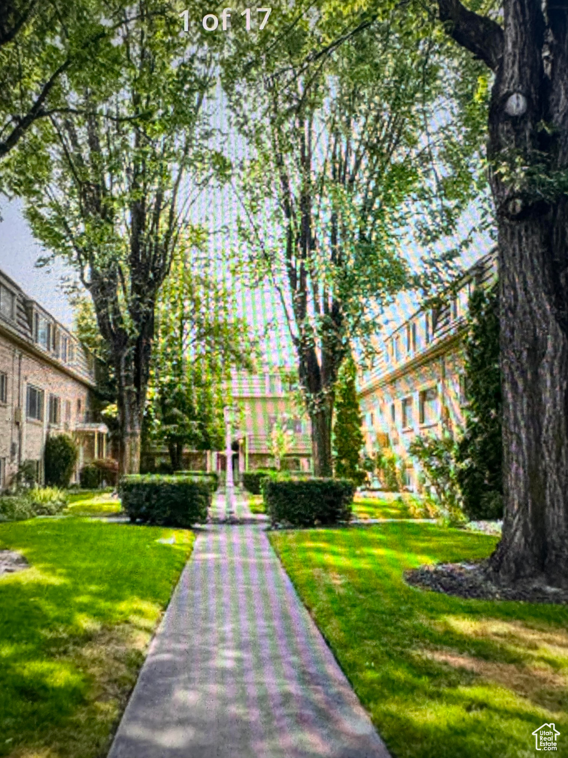 View of community with a lawn