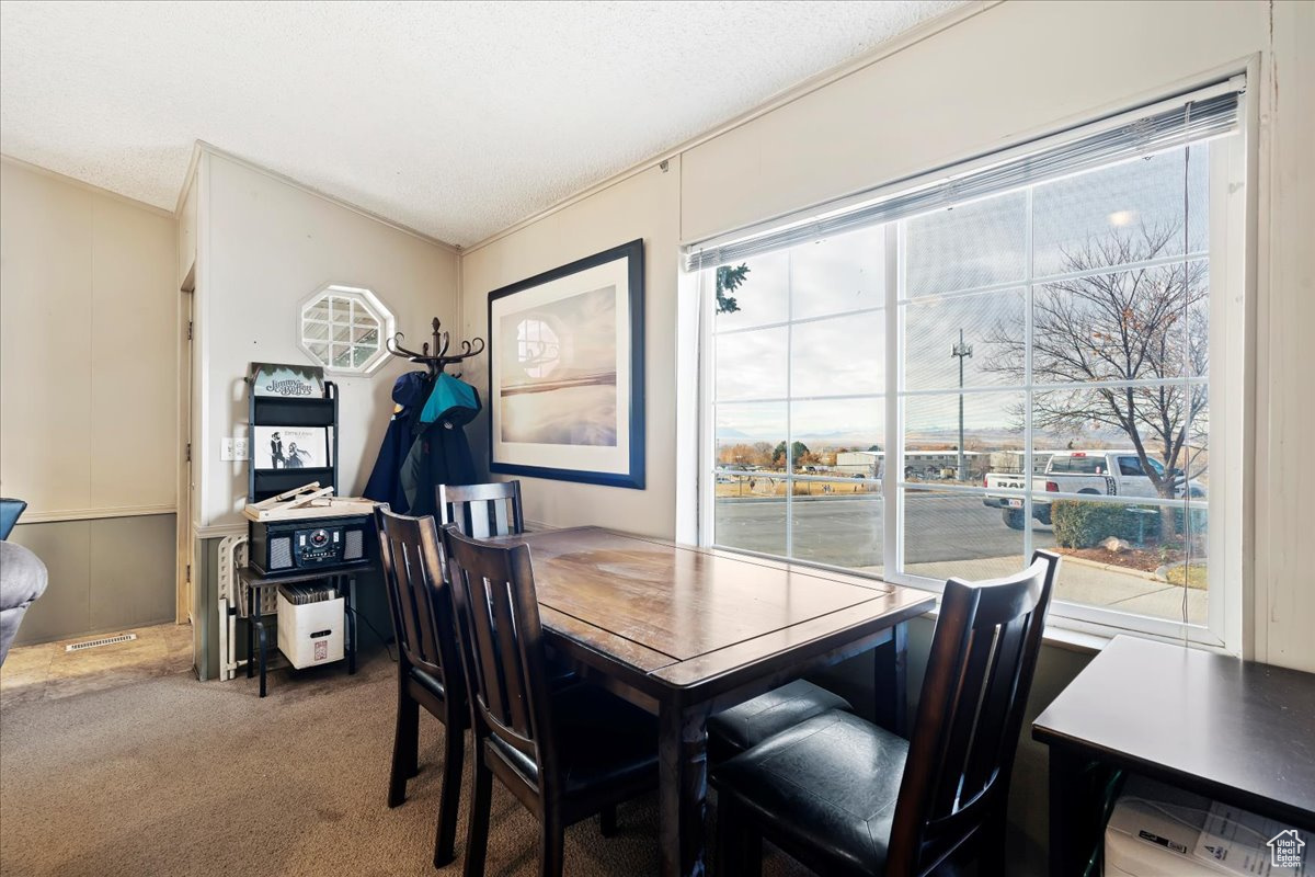 Dining space featuring crown molding, carpet floors, a healthy amount of sunlight, and a textured ceiling