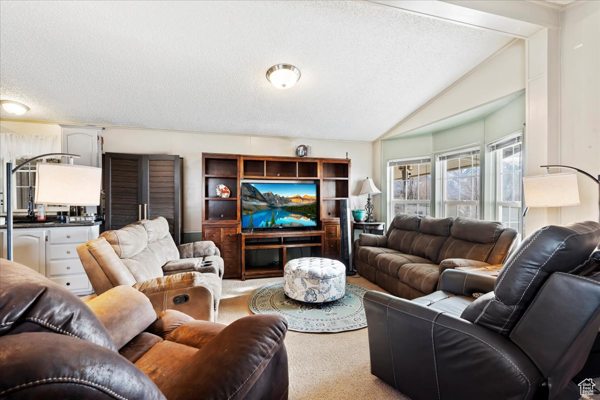 Carpeted living room featuring a textured ceiling and lofted ceiling