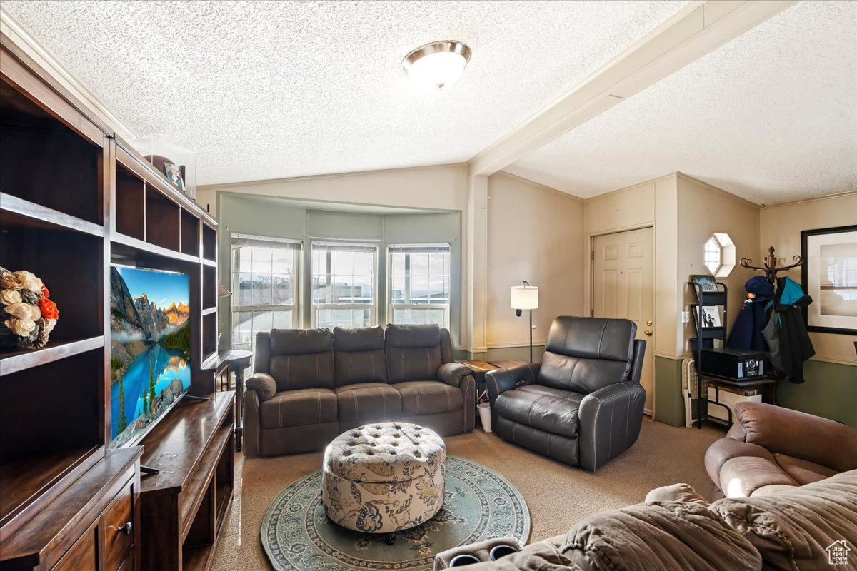 Living room with carpet flooring, vaulted ceiling with beams, and a textured ceiling