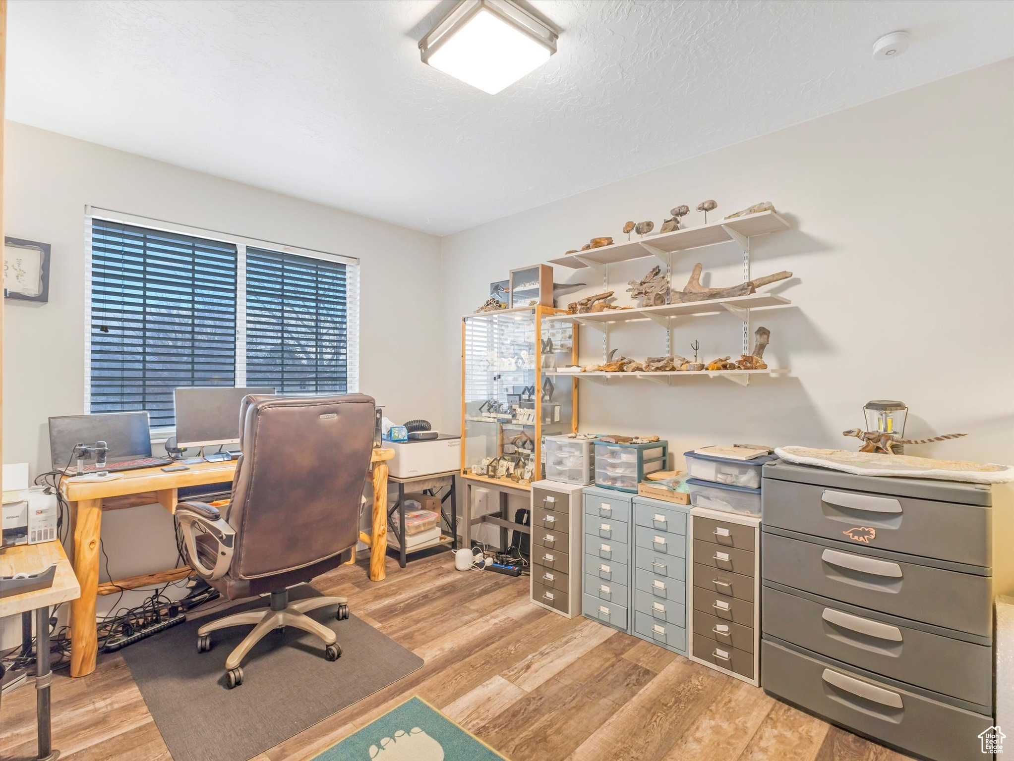 Office featuring a wealth of natural light and light hardwood / wood-style floors