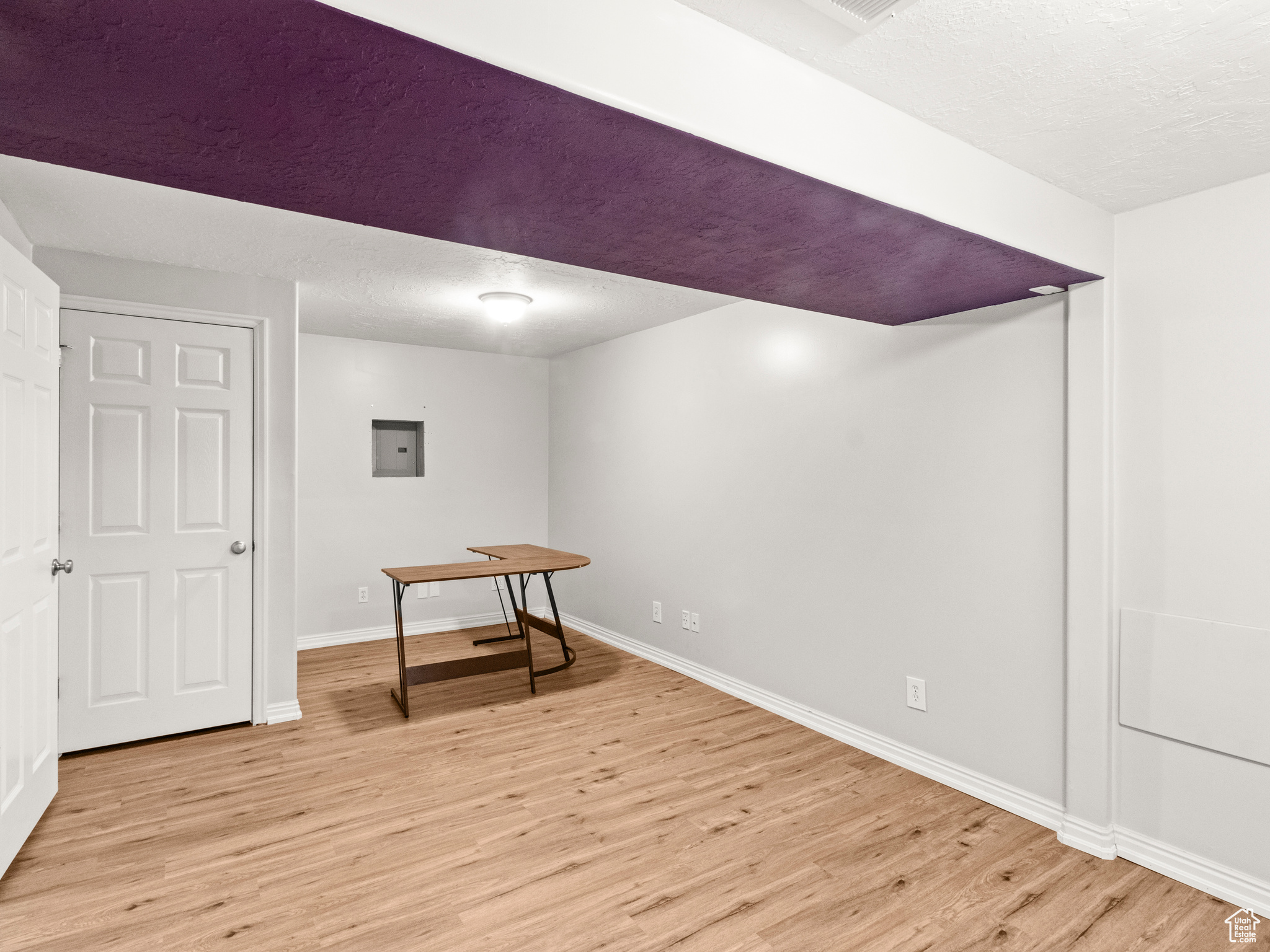 Basement with electric panel and light hardwood / wood-style flooring