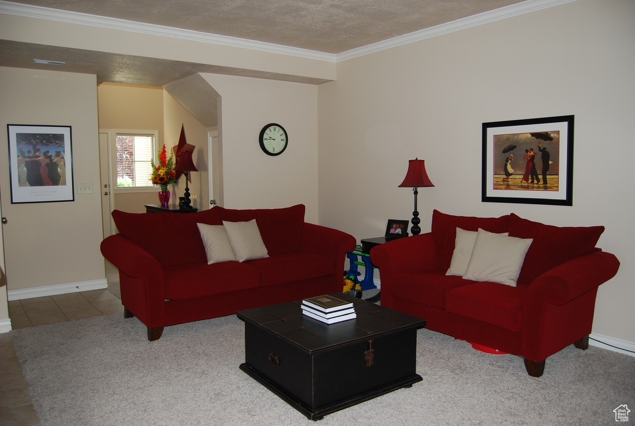 Carpeted living room featuring ornamental molding and a textured ceiling