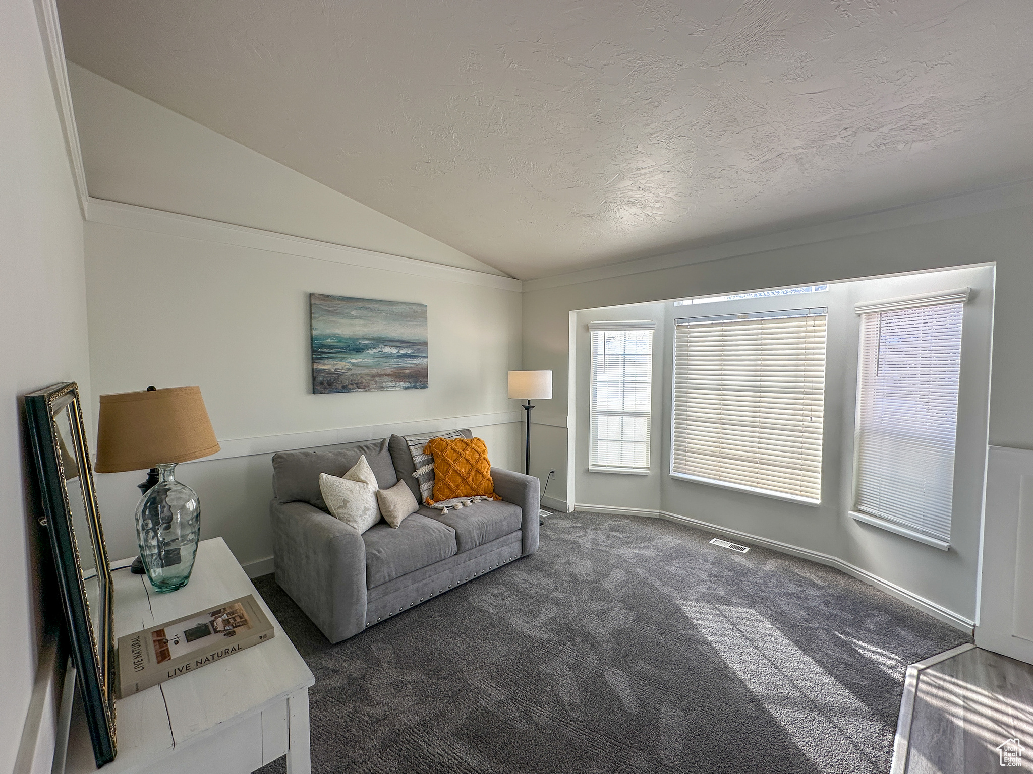 Living room with dark colored carpet, a textured ceiling, and lofted ceiling