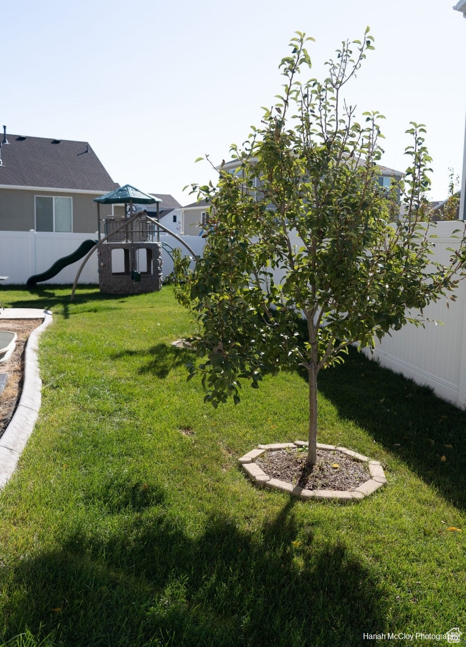 View of yard featuring a playground