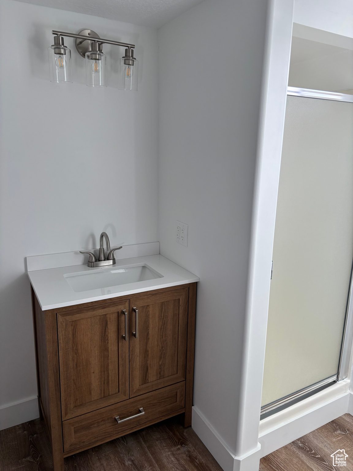 Bathroom with hardwood / wood-style floors, vanity, and a shower with shower door