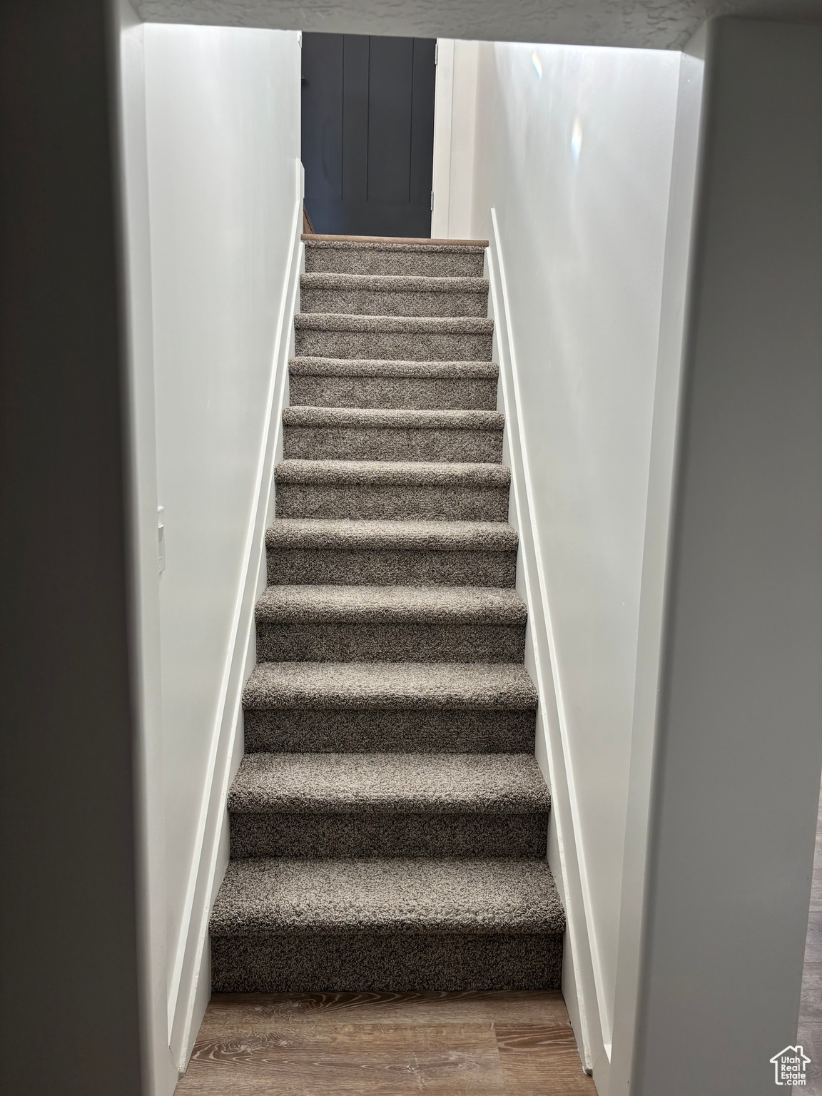 Staircase featuring wood-type flooring