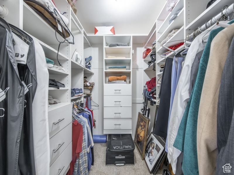 Spacious closet featuring light colored carpet