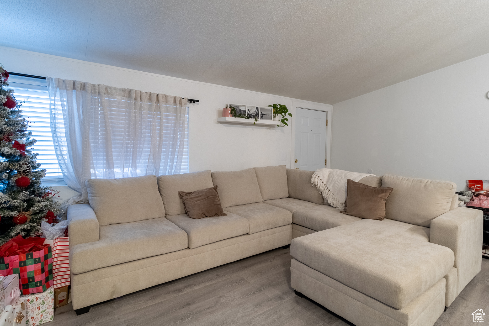 Living room featuring wood-type flooring