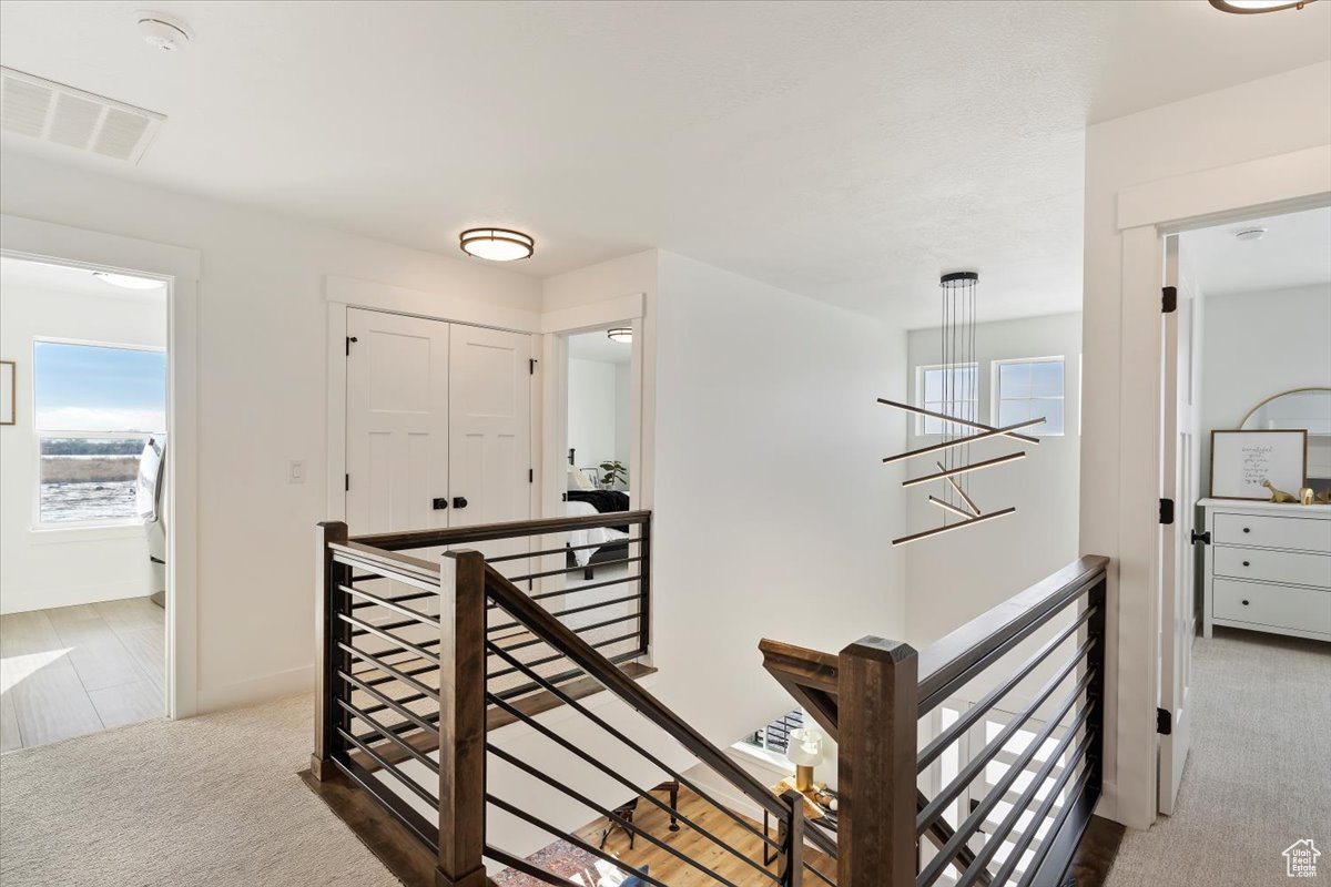 Stairway featuring carpet flooring