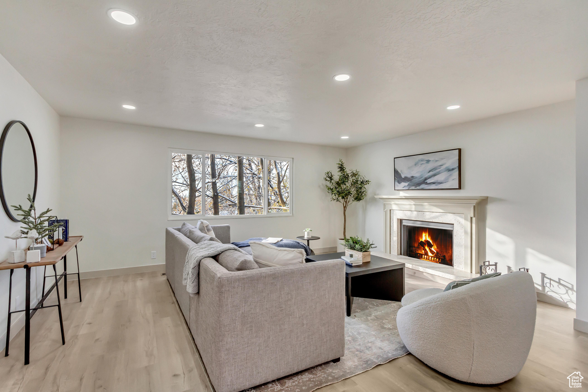 Living room featuring light hardwood / wood-style floors