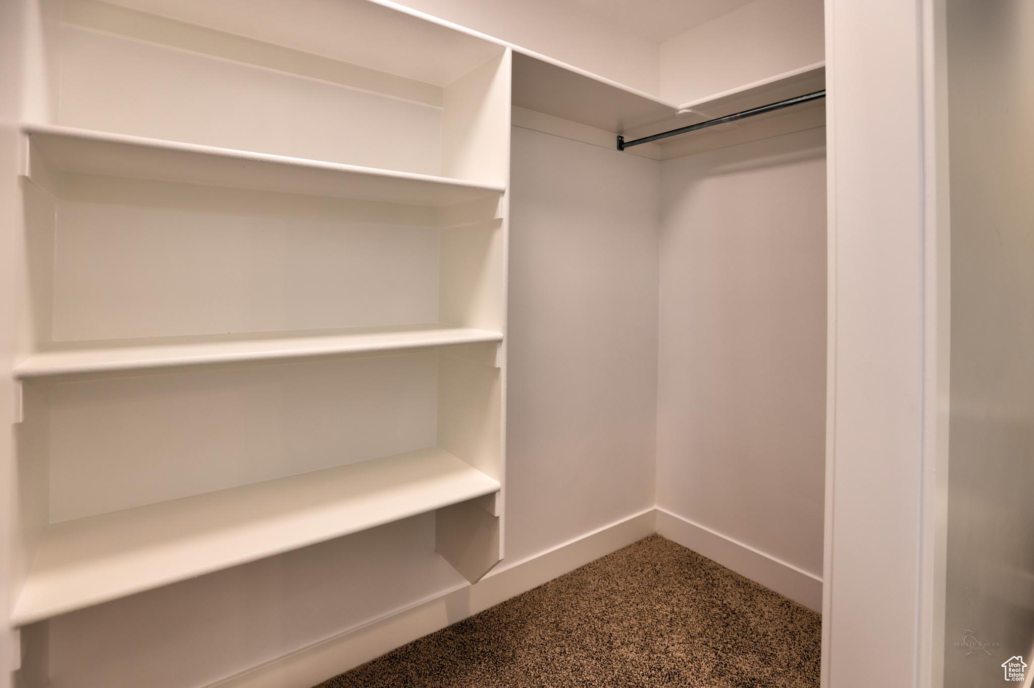 Spacious master closet featuring carpet floors