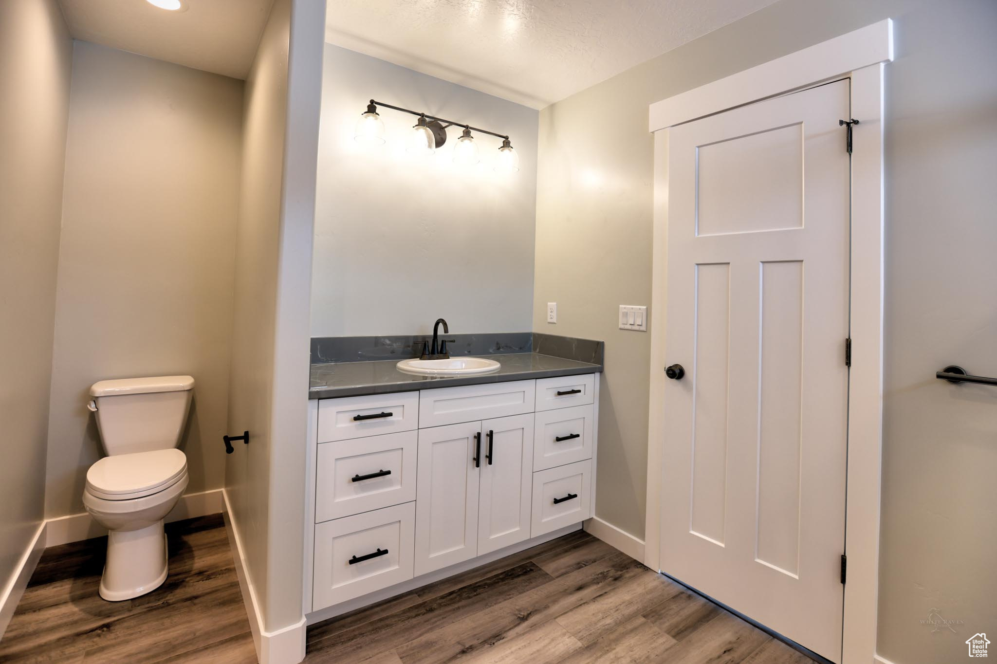 Master Bathroom featuring hardwood / wood-style floors, vanity, and toilet