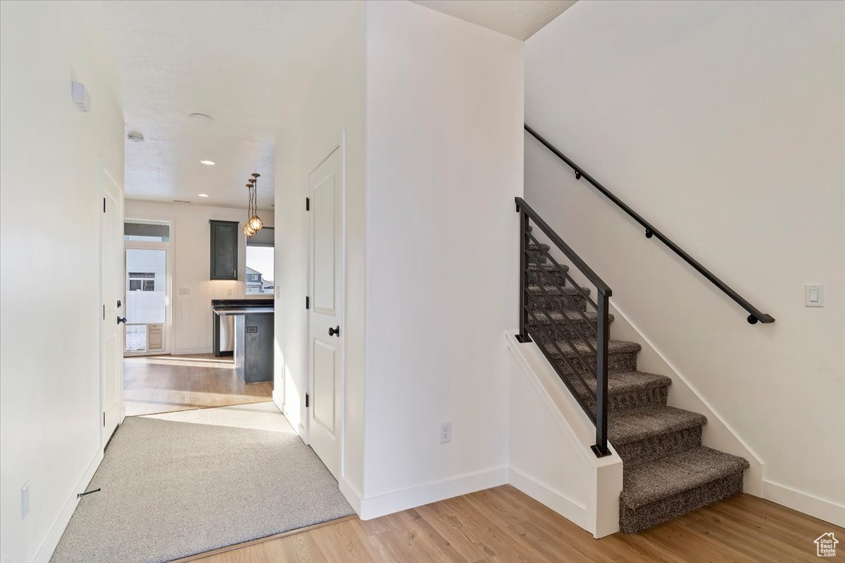 Stairs with hardwood / wood-style floors