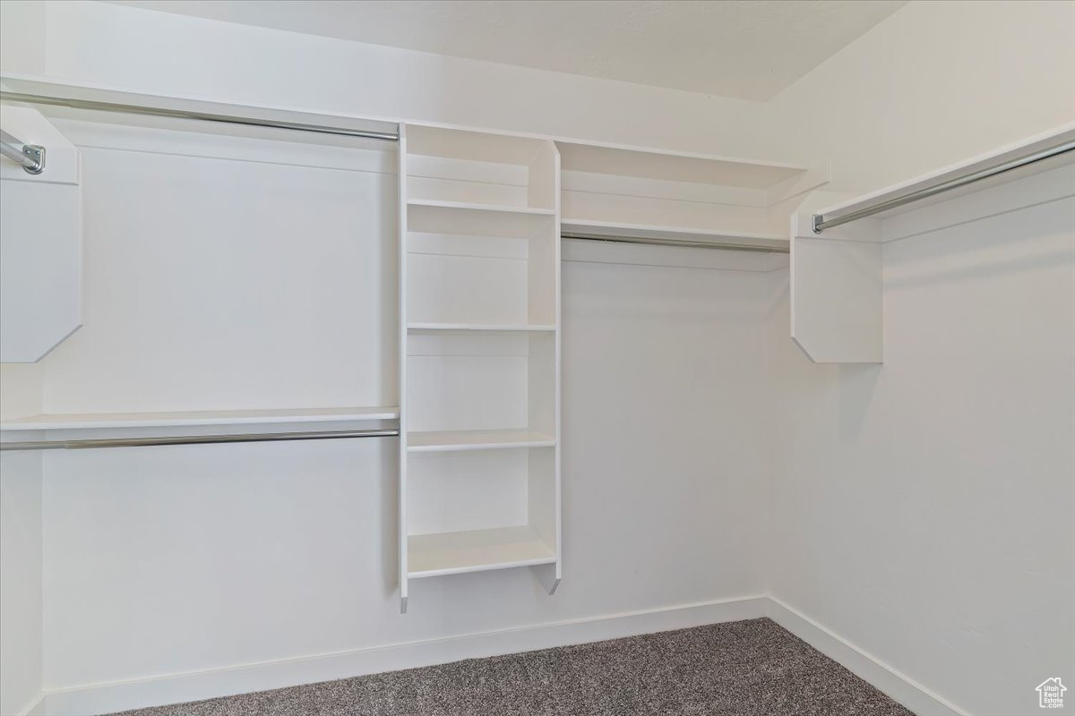 Walk in closet featuring carpet flooring