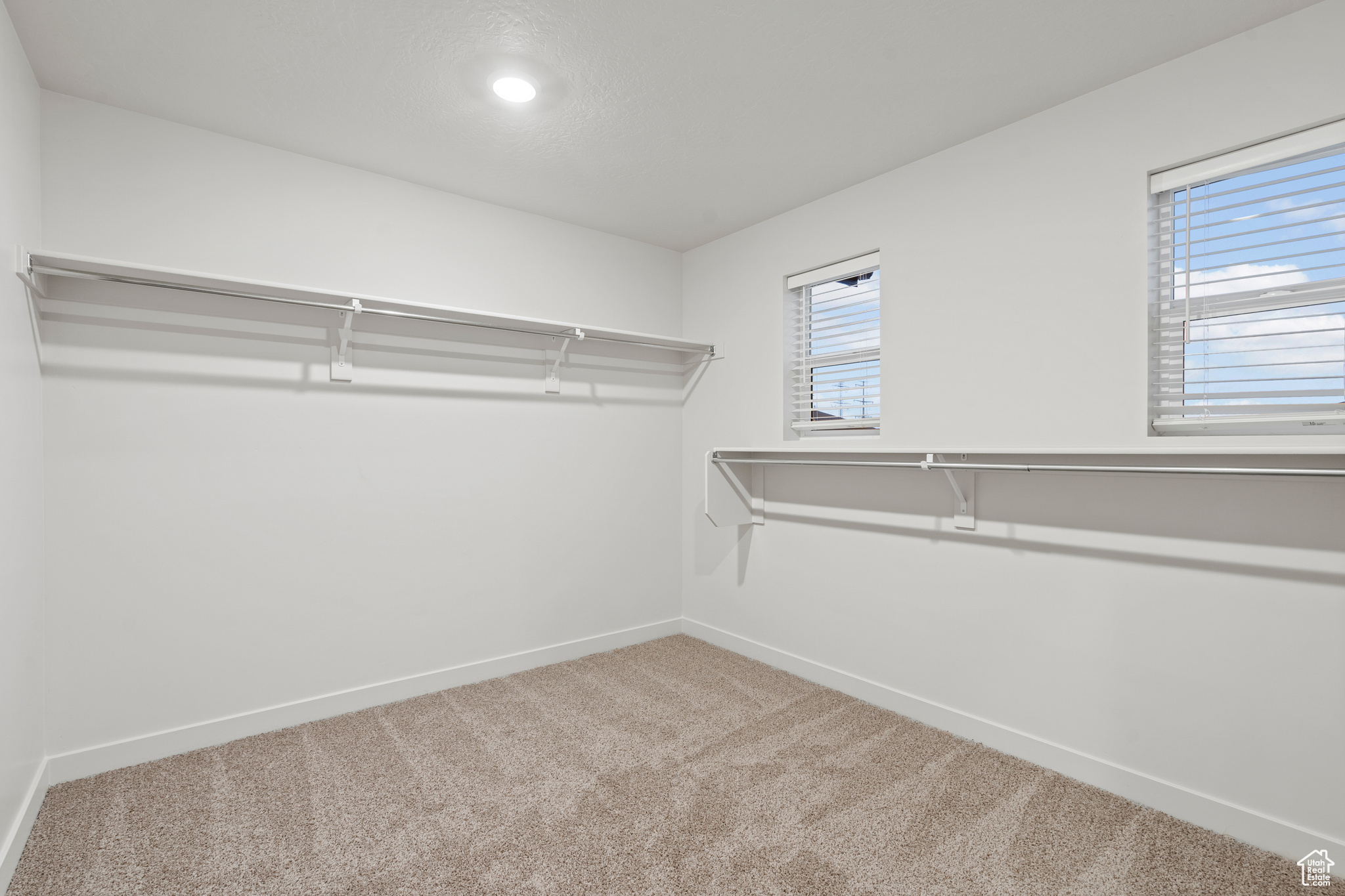 Walk in closet with carpet flooring