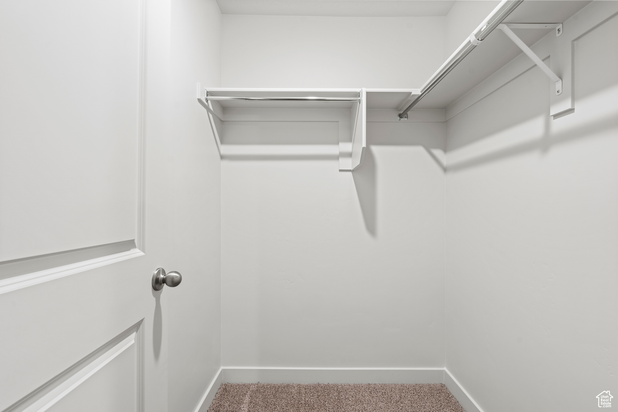 Spacious closet featuring carpet floors