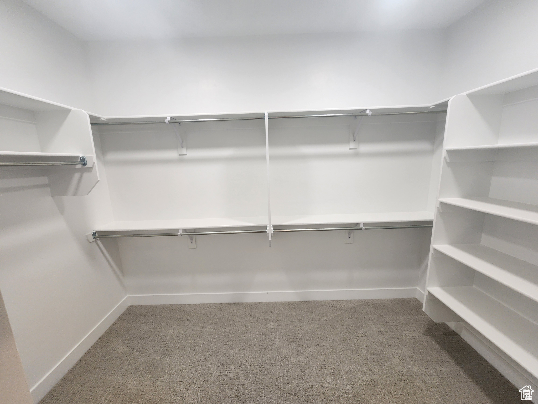 Spacious closet featuring carpet floors