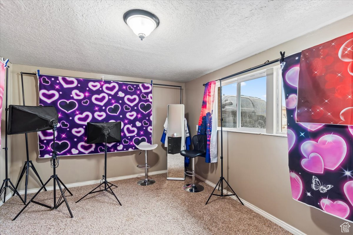 Recreation room with carpet and a textured ceiling