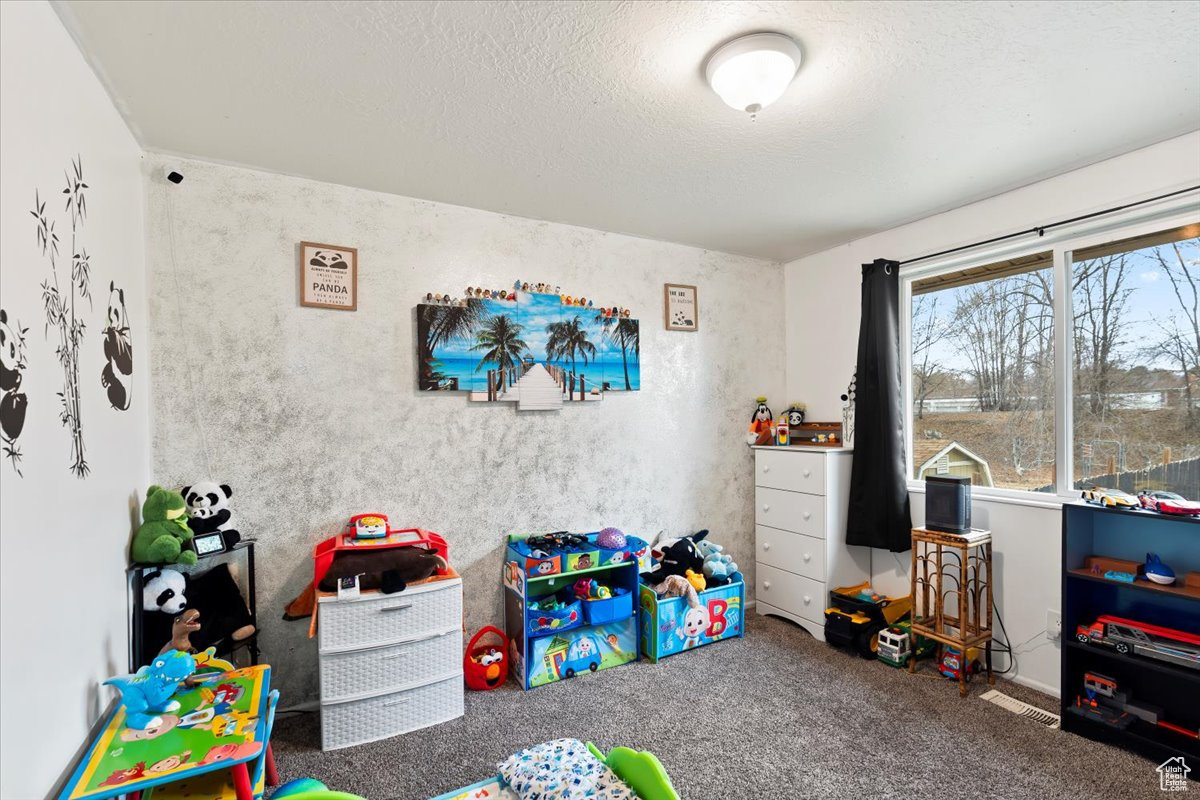 Recreation room with a textured ceiling and carpet floors